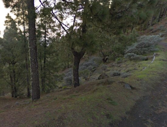 Outdoor sex in Caldera Los Marteles, Valsequillo, Gran Canaria