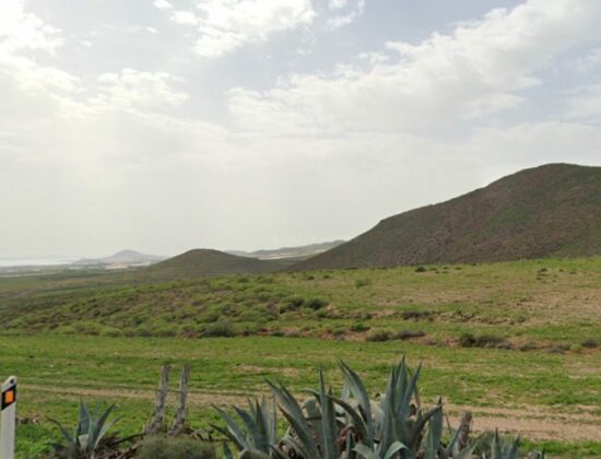 Outdoor sex in Desierto nocturno