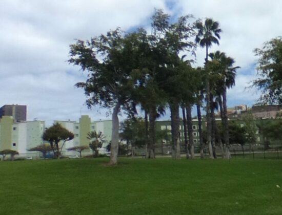 Outdoor sex in Las Rehoyas Park, Las Palmas, Gran Canaria