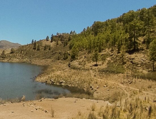 Outdoor sex in Lugar Presa De Las Niñas, Tejeda, Las Palmas