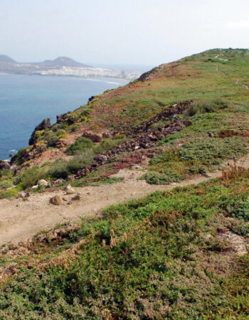 Outdoor sex in Los Giles, Las Palmas de Gran Canaria