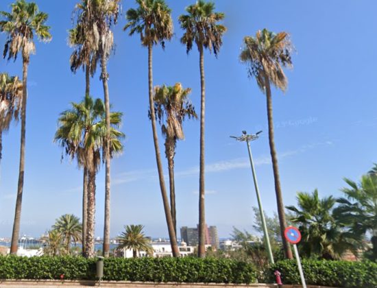 Outdoor sex in Parque Doramas, Las Palmas, Gran Canaria